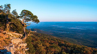 Arkansas
