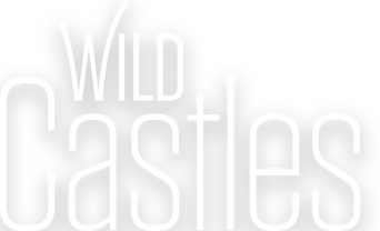 Wild Castles logo