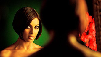 Pankh (2010)