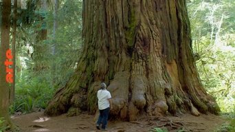 Terre de légendes - S1E01