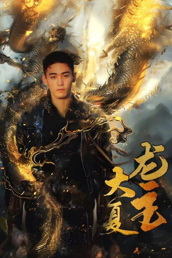 大夏龙主 poster
