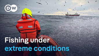Deep-sea fishing in the Arctic Ocean
