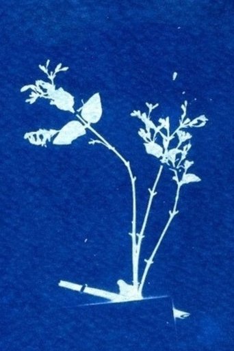 Sleepwalker Archives (2024)