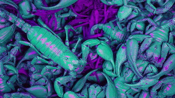 Ultraviolet media image