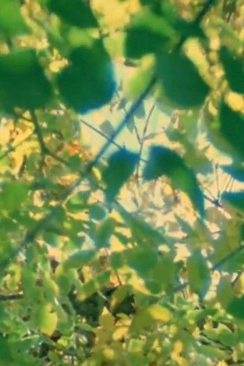 The Cat of the Worm's Green Realm poster 8