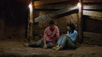Неможлива любов (2003)