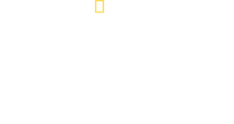 Sharks vs. Dolphins: Blood Battle logo