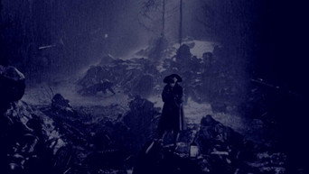 #43 Наполеон