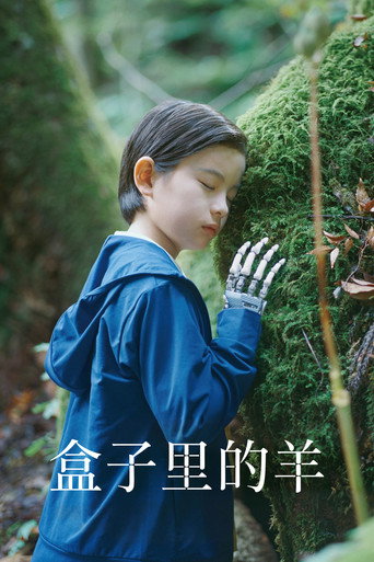 盒子里的羊