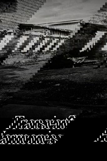 Transient Harmonies poster