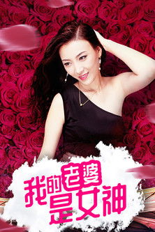 我的老婆是女神 poster