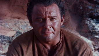Run of the Arrow (1957)