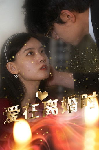 爱在离婚时 poster