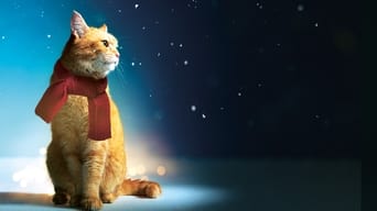 Bob, der Streuner – Szenenbild
