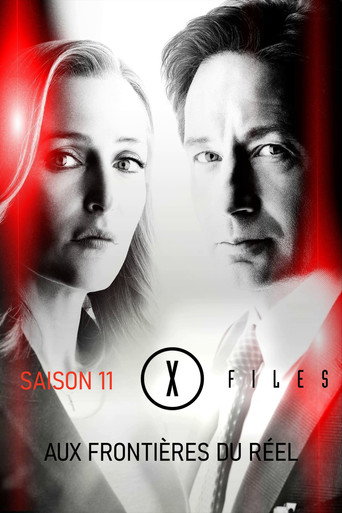 X-Files : Aux frontières du réel - S11 - Épisode 2 : Une vie après la mort - Affiche