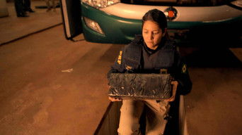 Cena de O Cão Não Se Engana