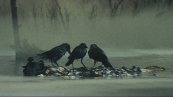 Кривавий сюрікен (1965)
