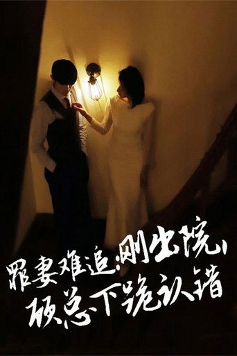 罪妻难追：刚出院，顾总下跪认错 poster