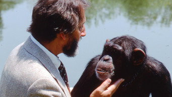 #8 Lucy, the Human Chimp