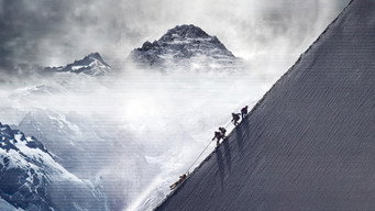 #6 The Summit