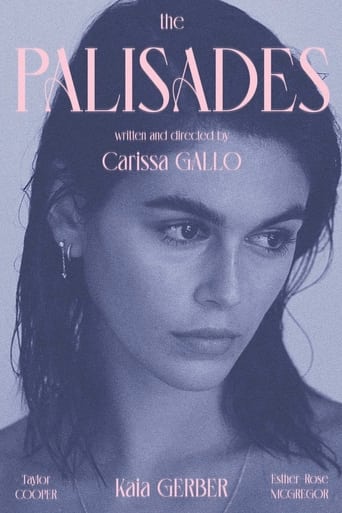 Poster of The Palisades