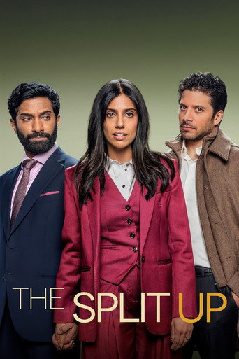 Affiche de The Split Up