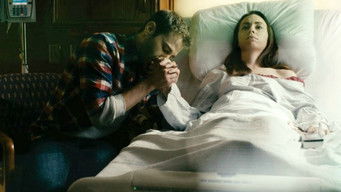 Galeria 1 - Amelia 2.0