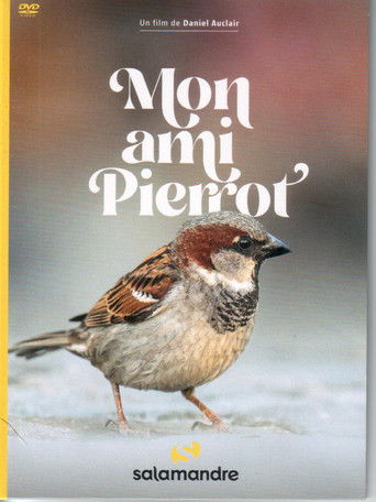 Mon Ami Pierrot poster