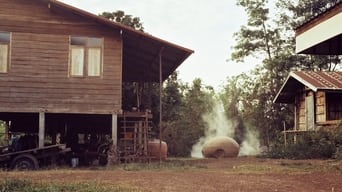 Лист дядькові Бунмі (2009)