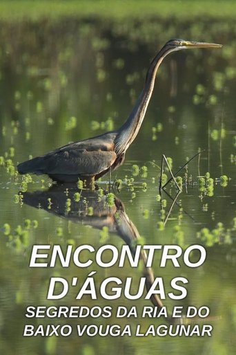 Encontro D'Águas - Segredos da Ria e do Baixo Vouga Lagunar (2017)