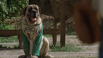 The Sandlot backdrop 9