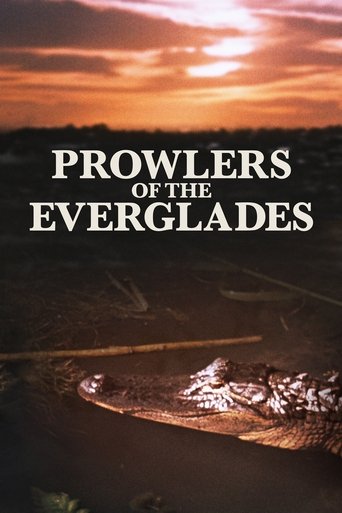 Poster för Prowlers of the Everglades