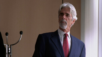 Avenger (2006)