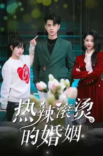 热辣滚烫的婚姻 poster