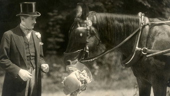 The Italian Straw Hat (1928)