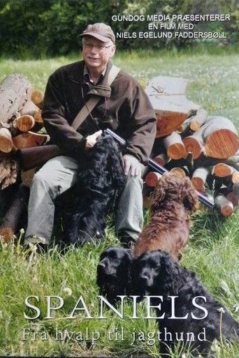 Spaniels - fra hvalp til jagthund
