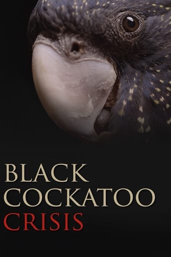 Black Cockatoo Crisis