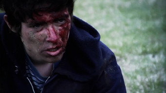 Feral media image