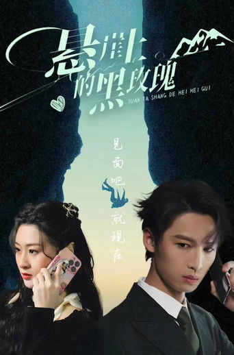 悬崖上的黑玫瑰 poster