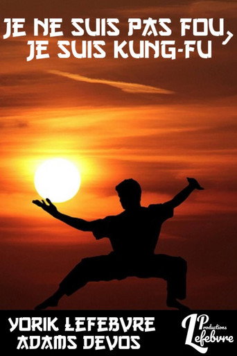 Je ne suis pas fou, je suis Kung-Fu