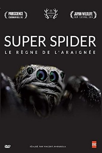 Le Règne de l'araignée poster