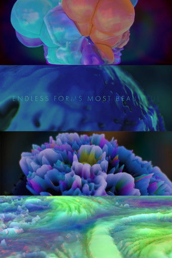 Endless Forms Most Beautiful poster