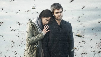 Locust media image
