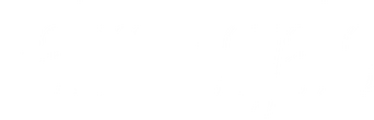 Palm Royale logo