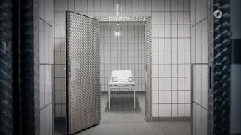 Episode 13 — Episode 13