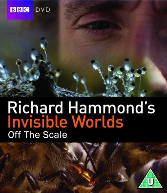 Poster for Richard Hammond's Invisible Worlds: Off The Scale
