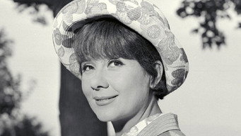 Story of My Foolishness (1966)