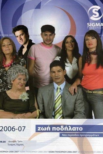 Life is a Bicycle poster 2