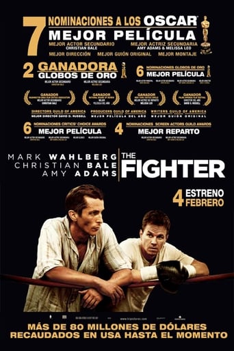 Poster of The Fighter