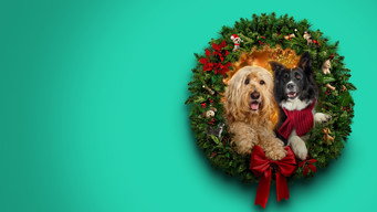 Happy Howlidays (2024)